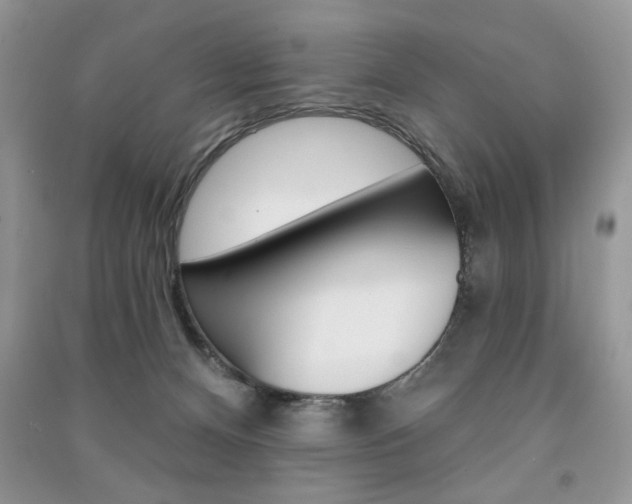 X0000091170128200708091032
