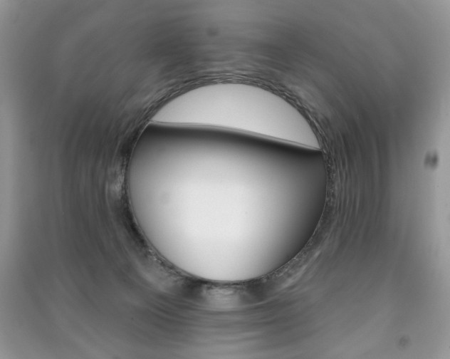 X0000091170129200708091032