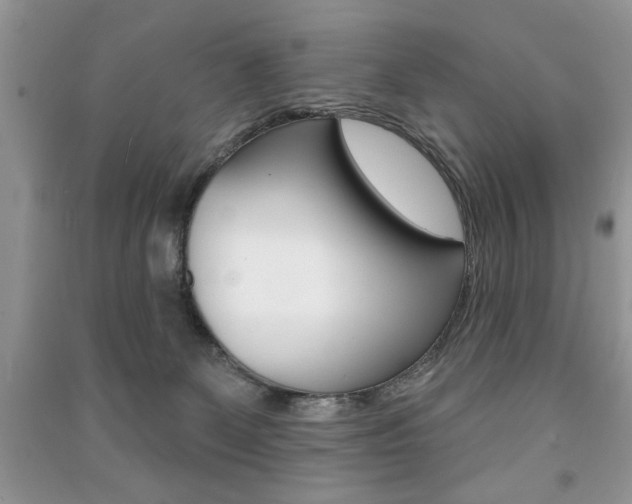 X0000091170131200708091032