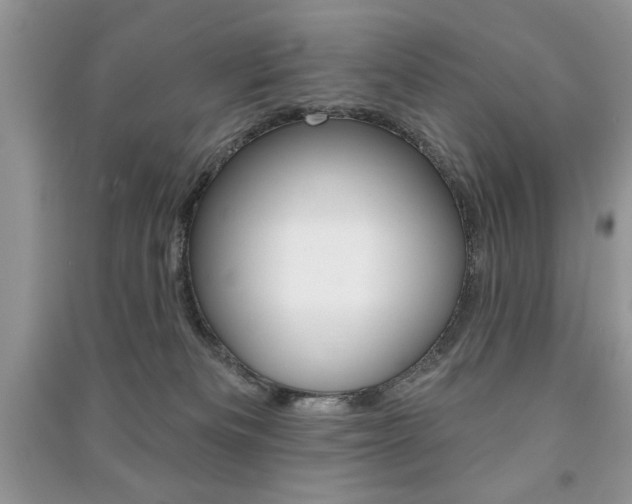 X0000091170133200708091032
