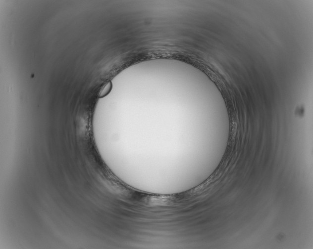 X0000091170134200708091032