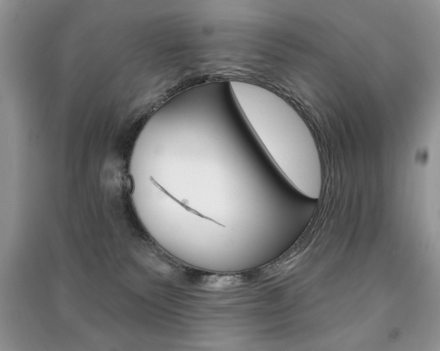 X0000091170135200708091032