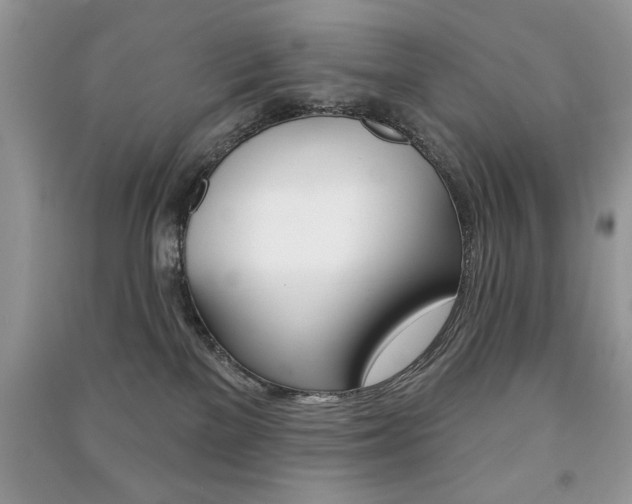 X0000091170137200708091032