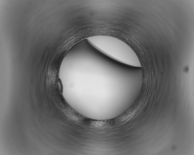 X0000091170139200708091032