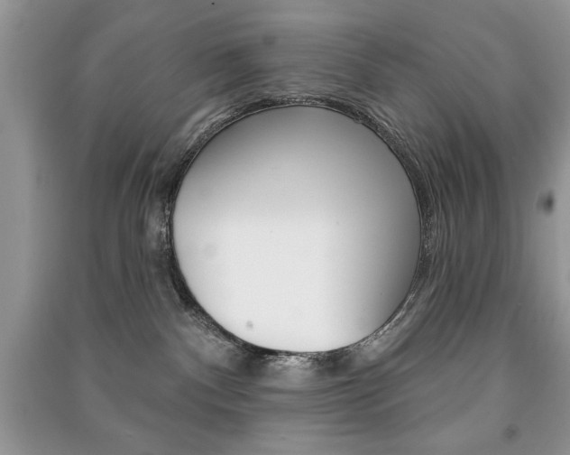 X0000091170140200708091032