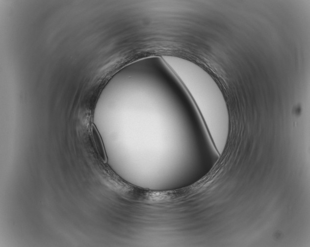 X0000091170141200708091032
