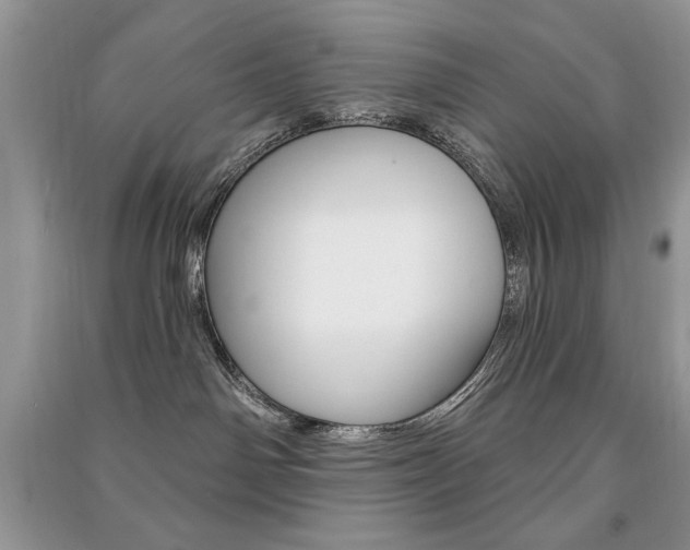 X0000091170142200708091032