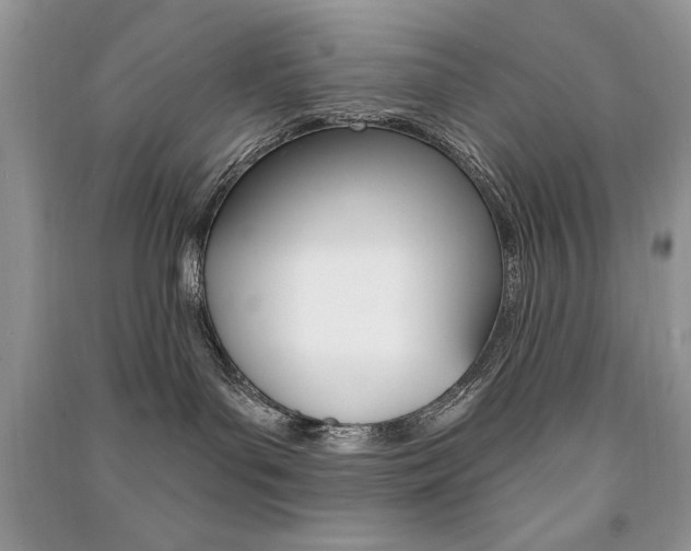 X0000091170143200708091032