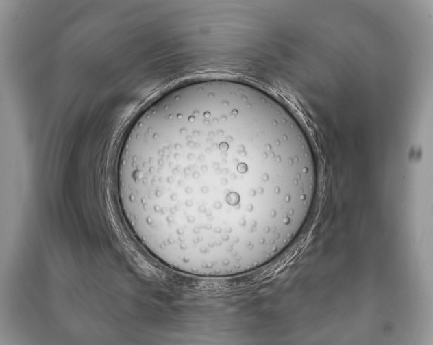 X0000091170145200708091032
