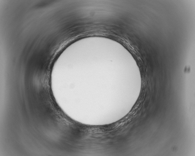 X0000091170146200708091032