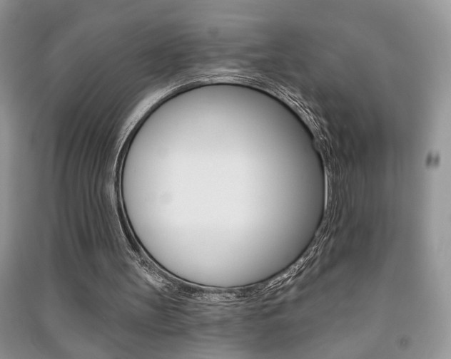 X0000091170147200708091032