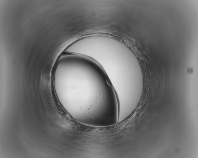 X0000091170148200708091032