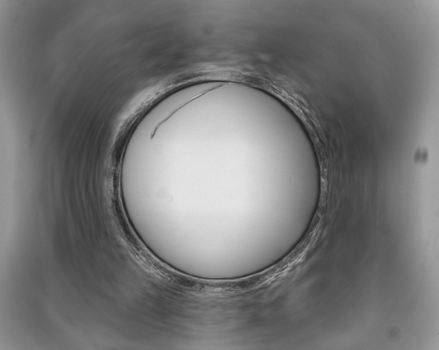 X0000091170149200708091032