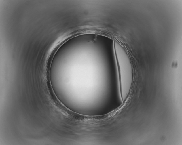 X0000091170150200708091032