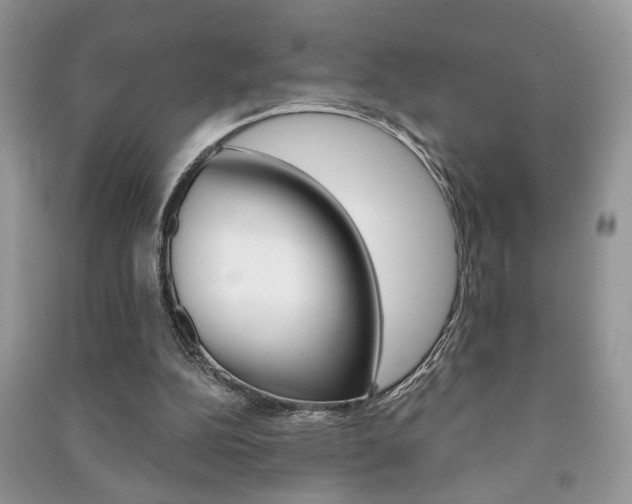 X0000091170152200708091032