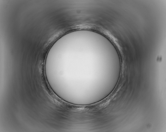 X0000091170153200708091032