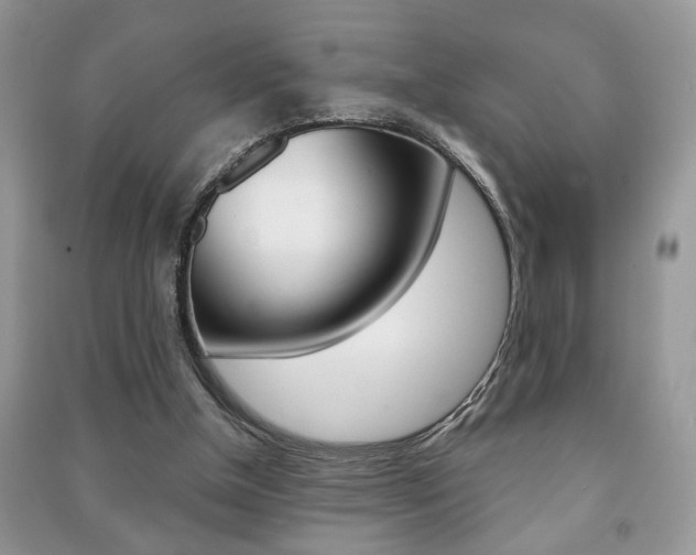 X0000091170154200708091032