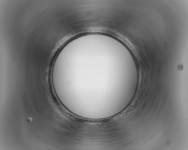 X0000091170155200708091032