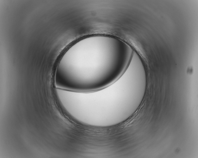 X0000091170156200708091032