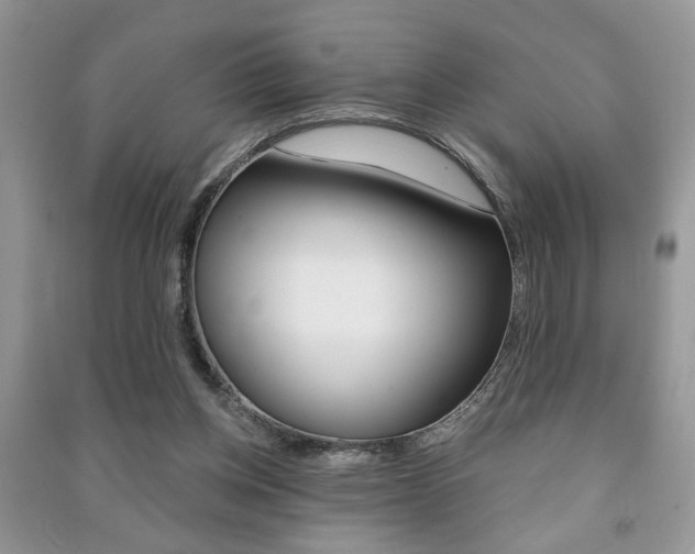 X0000091170158200708091032