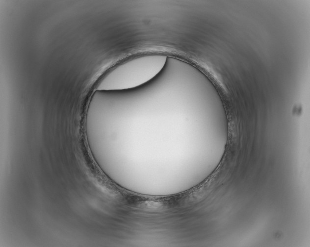 X0000091170159200708091032
