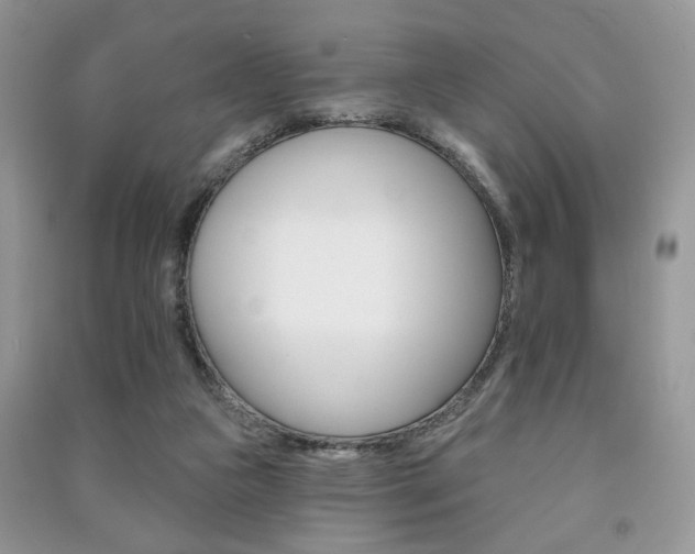 X0000091170161200708091032