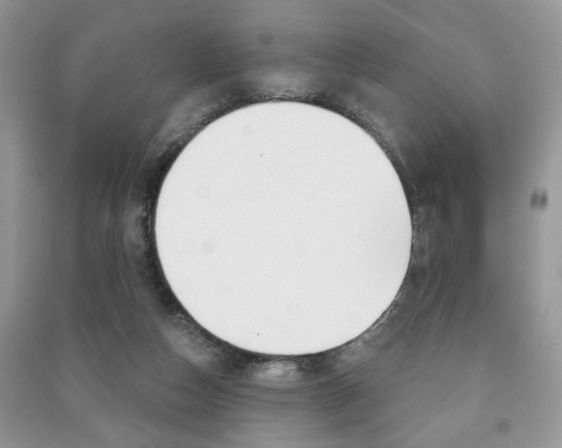 X0000091170162200708091032