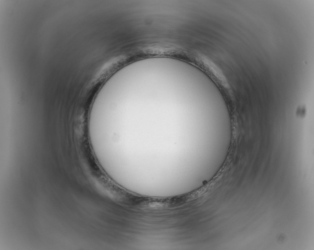 X0000091170163200708091032