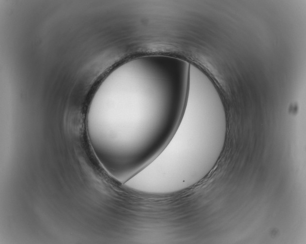 X0000091170164200708091032