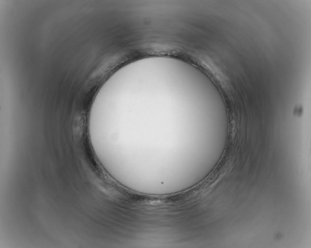 X0000091170165200708091032