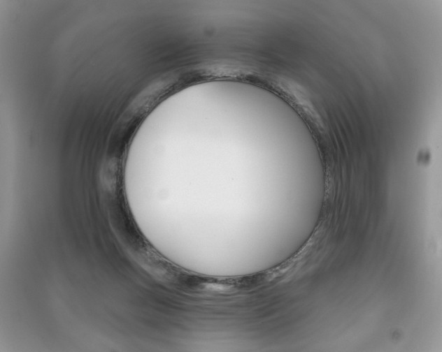X0000091170167200708091032
