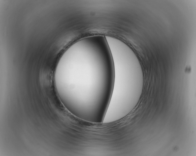 X0000091170168200708091032
