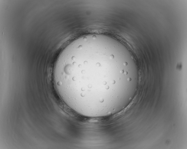 X0000091170171200708091032