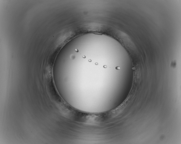 X0000091170172200708091032
