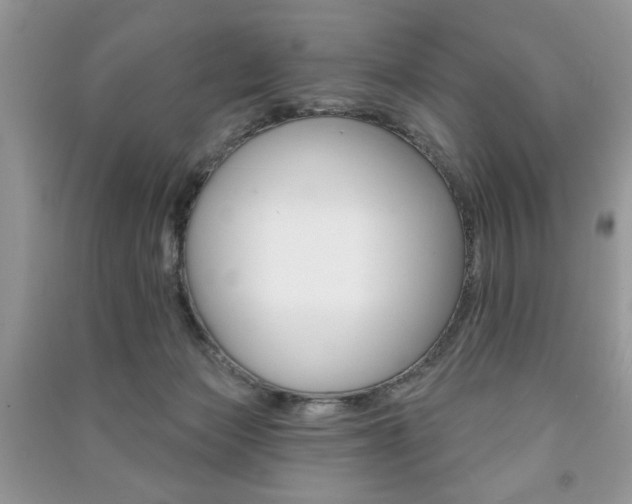 X0000091170173200708091032