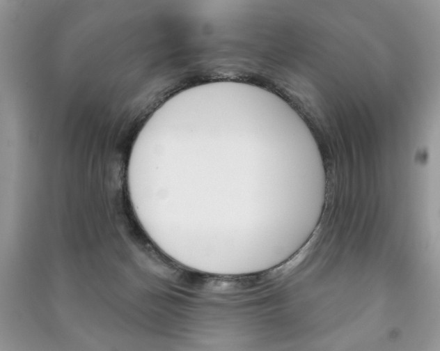 X0000091170174200708091032
