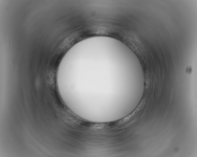 X0000091170175200708091032