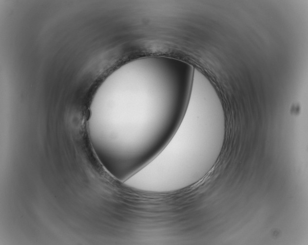 X0000091170176200708091032