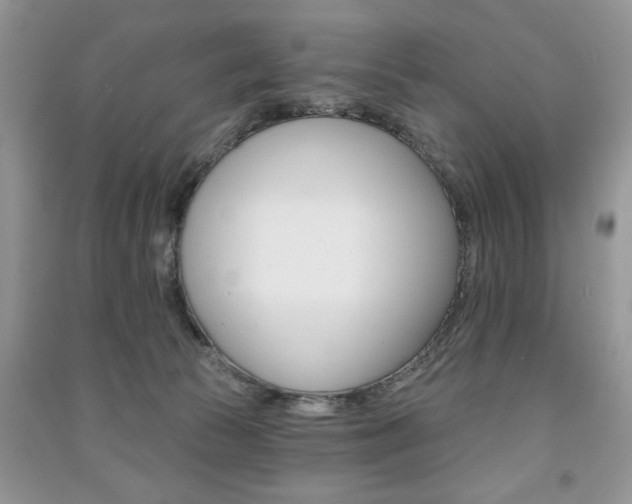X0000091170177200708091032