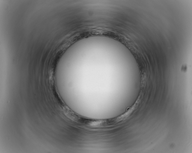 X0000091170178200708091032