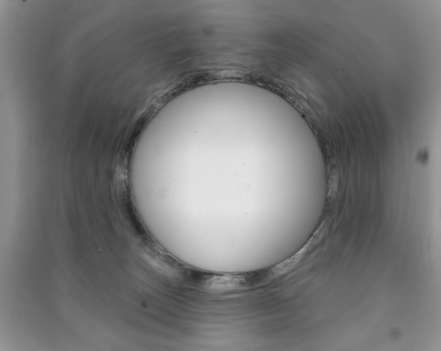 X0000091170179200708091032