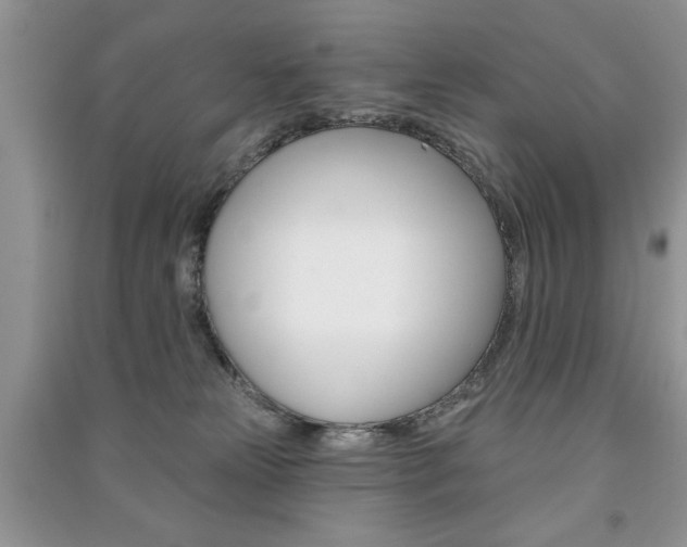 X0000091170181200708091032