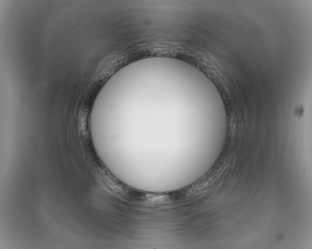 X0000091170185200708091032