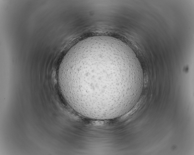 X0000091170187200708091032