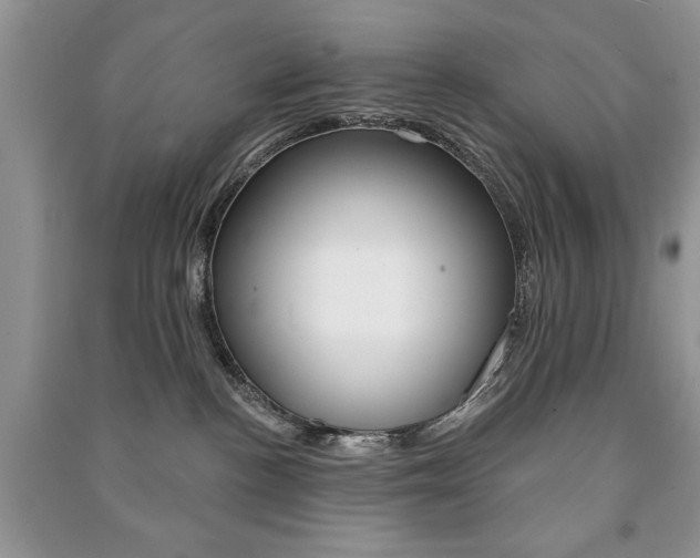 X0000091170188200708091032