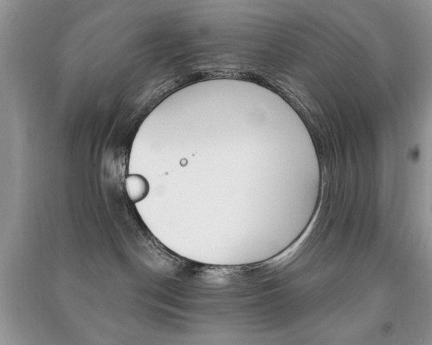 X0000091170190200708091032