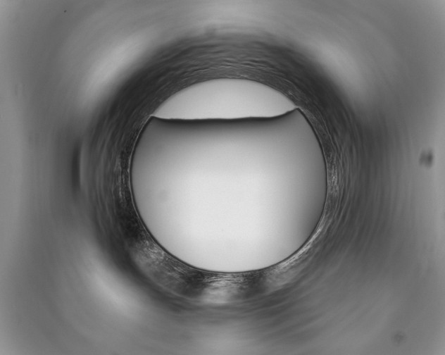 X0000091170191200708091032