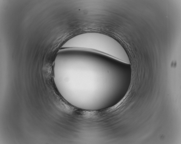 X0000091170192200708091032