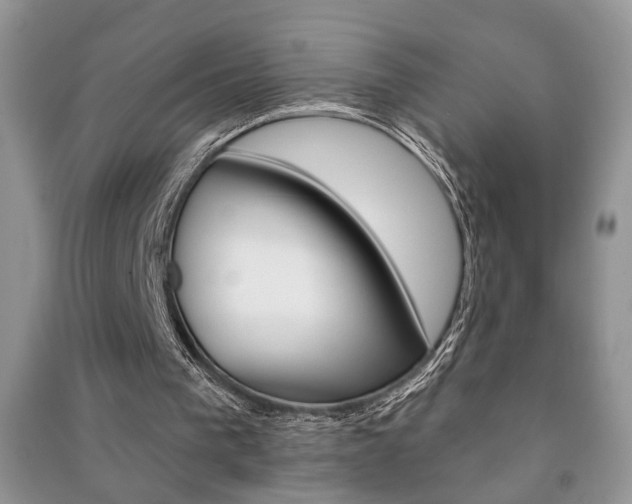 X0000091170193200708091032