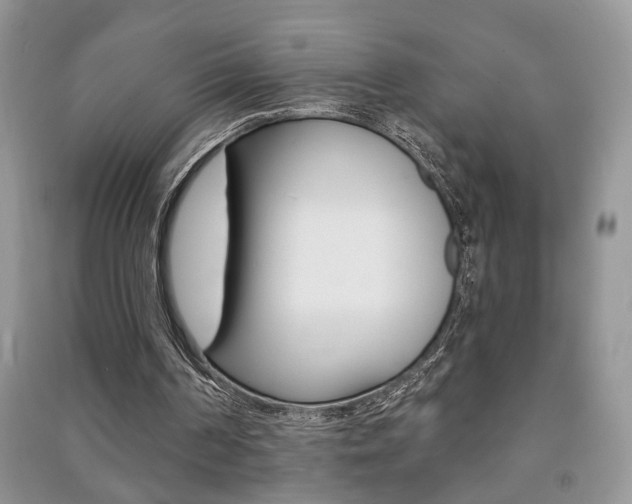 X0000091170194200708091032